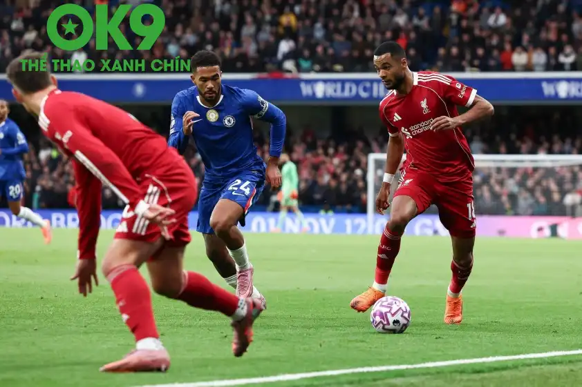Gakpo thừa nhận khó nuốt trôi khi Liverpool thua phút cuối (Ảnh: LFC Transfer Room).